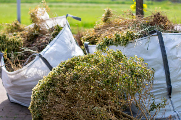 Commercial Cleanout Services in Paloma Creek, TX